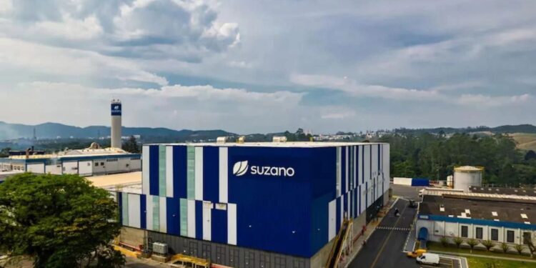 Mercado de celulose dá sinais de alívio e Suzano (SUZB3) pode estar próxima de ponto de equilíbrio